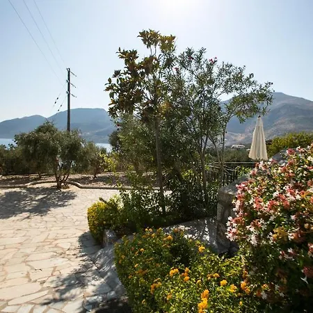 Skourari Galini * Skoutárion