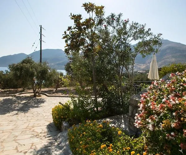 Skourari Galini * Szkutári